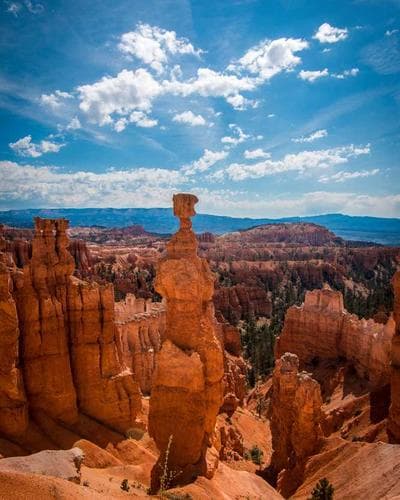 Çelik Kapı Çözümleri