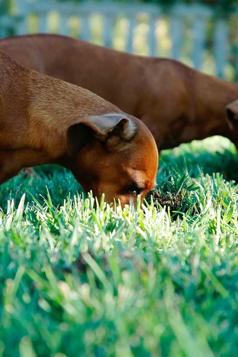 Yunus Emre Ticaret Mağaza Görünümü
